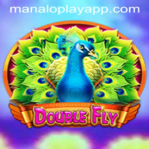 DoubleFly: The New Frontier in Interactive Gaming